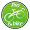 Pro E-Bike